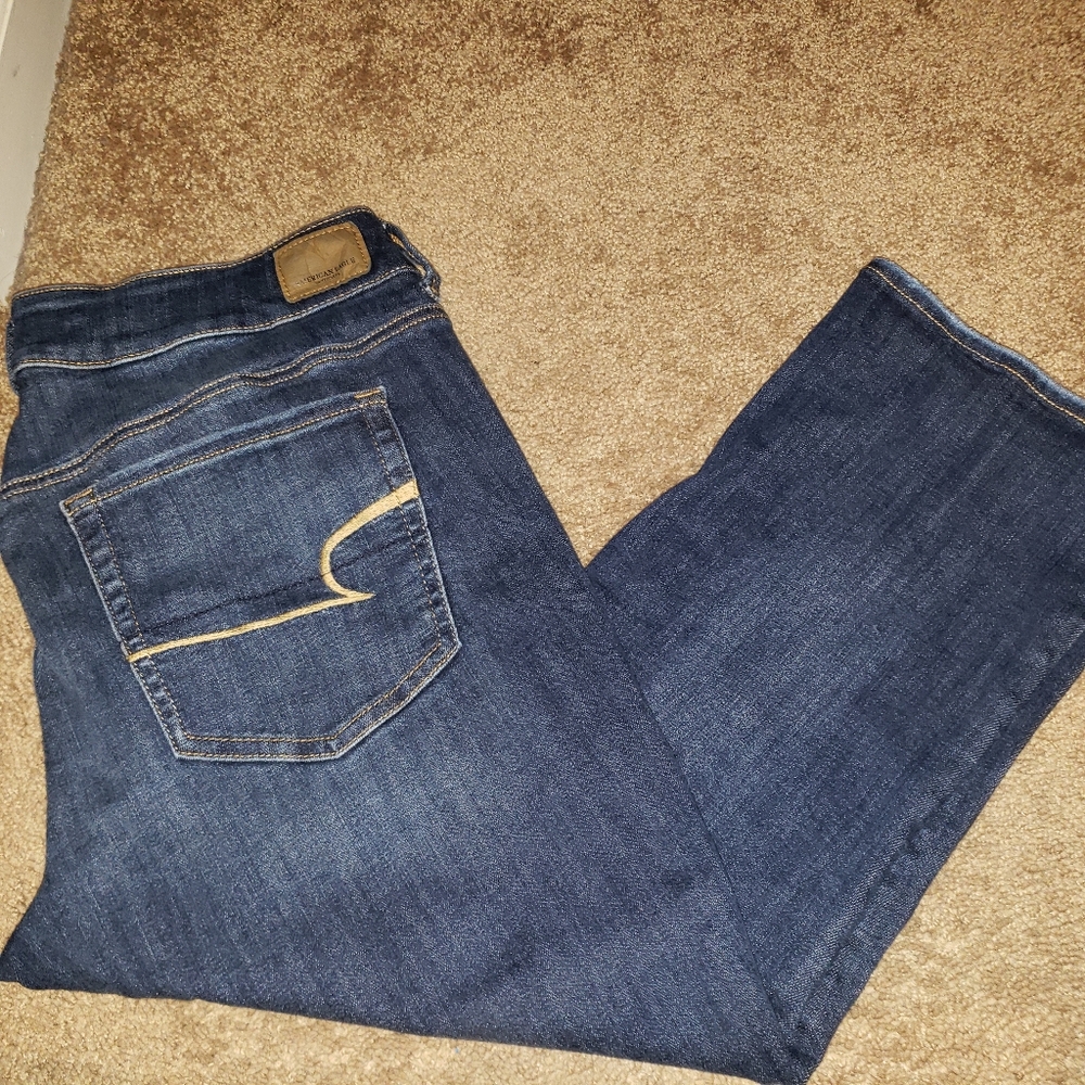 American Eagle Capri- Next Level Stretch